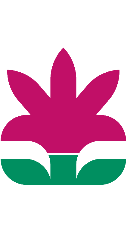 Two illustrated, textured, and pink- and green-colored Rubrum lilies next to each other. The left is shorter than the right.